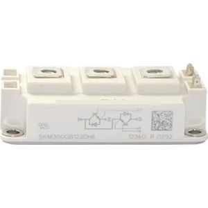 LREDONM 1 st SKM150GB123DH6 SKM200GB123DH6 SKM300GB123DH6 SKM400GB123DH6 IGBT Module (SKM300GB123DH6)
