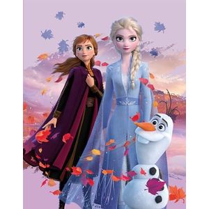 Disney Frozen 2 kinderkamertapijt Dreamteam 100 cm x 133 cm antislip geluidsremmend kindertapijt speeltapijt speelmat meisjes tapijt Anna Elsa Olaf Sven Kristoff Arendelle Nokk