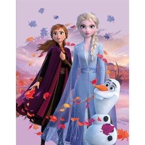 Disney Frozen 2 kinderkamertapijt Dreamteam 100 cm x 133 cm antislip geluidsremmend kindertapijt speelmat speelmat meisjestapijt Anna Elsa Olaf Sven Kristoff Arendelle Nokk