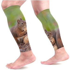 EZIOLY Bruine eekhoorn met noten sport kalf compressie mouwen been compressie sokken kuitbeschermer voor hardlopen, fietsen, moederschap, reizen, verpleegkundigen