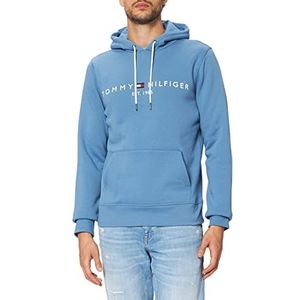 Tommy Hilfiger Heren Core Tommy Logo Hoody Mw0mw10752, Dusty Indigo, L