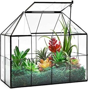 Grote Glazen Huis Plant Terrarium – Sappige Plant Terrarium Geometrische Kas Tafelblad Glas Terrarium met deksel