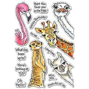 Dieren is kijken naar je sterft en stempelsets voor kaarten maken Giraffe Flamingo honden Slangen Clear Rubber Stempel Match Metalen Snijden Dies voor DIY Scrapbooking Papier Crafting Handgemaakte Ambachten Stencil Die Cut