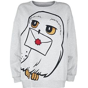 cotton division Harry Potter Hedwige Femme Sweatshirt Grijs chiné S 75% Coton, 25% Polyester Large