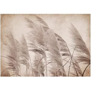 Fotobehang pampasgras gras planten beige boho veld - incl. lijm - voor woonkamer slaapkamer hal fleece behang vliesbehang behang klaar voor montage (368x254 cm)