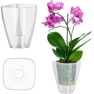 KADAX Bloempot, slanke orchideeënpot, eenvoudige plantenbak, bloempot voor orchidee, honingraat, madeliefjes, bloempot voor keuken en woonkamer, diameter 9 cm, hoekig, transparant