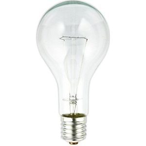 Calex - GLS - Gloeilamp - Helder - E40 - 240 V - 300 W