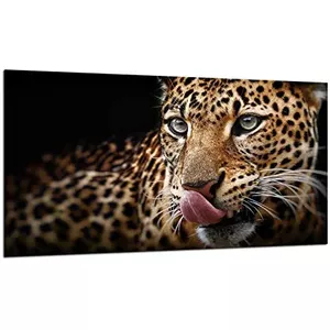 TMK afdekplaten voor fornuis, 2-delig, 30 x 52 cm, afdekking voor keramische kookplaat, inductie, fornuisbescherming, spatbescherming, glasplaat snijplank, hond