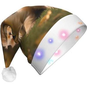 EdWal Golden Retriever honden puppies huisdieren kerstmuts LED oplichtende hoed, grappige pluche kerstmuts, kerstfeesthoed voor volwassenen