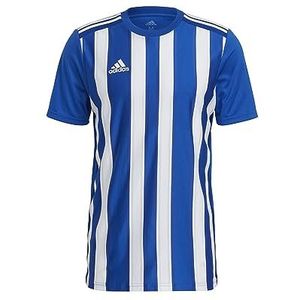 adidas Striped 21 JSY Jersey (korte mouw), heren, koningsblauw/wit, XL