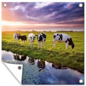 Tuinposter - 100x100 cm - Koeien tijdens een zonsondergang