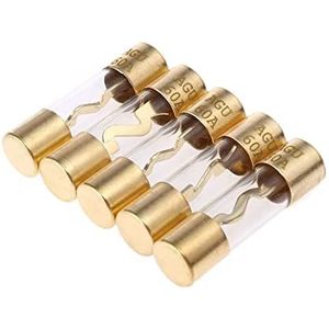 SYSCZPWC 5 Stks Verguld Glas AGU Zekeringen Pack Auto Audio Versterker Versterker 60/80/100 AMP (60 Amp)