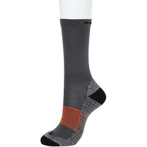 Salomon Aero Ebony Sportsokken, zwart/grijs