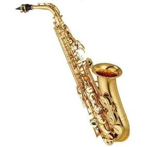 saxofoon kit Professionele Altsaxofoon Gouden Sleutel Super Muziekinstrument Gouden Sax (Color : 875)