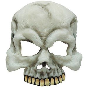 Bristol Novelty BM385 Glow in The Dark Skull Halfmasker, Unisex-Volwassene, One Size