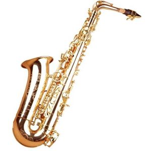 saxofoon kit Saxofooninstrument Beginners Volwassen Es Altsaxofoon Prestatietest