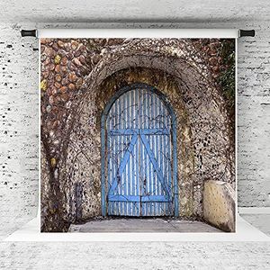 KateHome FOTOSTUDIOS 3x2m baksteen muur achtergronden microvezel blauwe houten deur fotografie achtergrond voor foto studio achtergronden Props