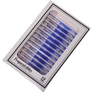 Microscoop accessoirekit 12 stuks plastic voorbereide microscoop folies Biologisch Experiment accessoires microscopische objectdragers (kleur: blauw)