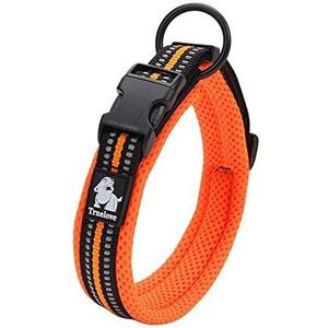 Wudimaoyiyouxian Dog halsband Pet Collar 9 kleuren Reflecterende Verstelbare Comfortabele for alle rassen (Color : Orange, Size : M)