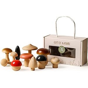 Youuys Houten paddestoel stapelen peuterspeelgoed, set van 11 Pack puzzels met allerlei paddestoelen geassorteerde vormblokken vroeg educatief speelgoed