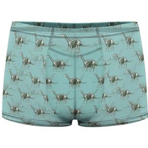 Dinosaurussen skeletten silhouetten heren boxer slips sexy shorts mesh boxers ondergoed ademende onderbroek string