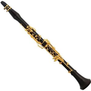 Klarinet B-klarinetinstrument Ebbenhout blaasinstrument voor beginners om het examen af ​​te leggen Professionele Klarinet