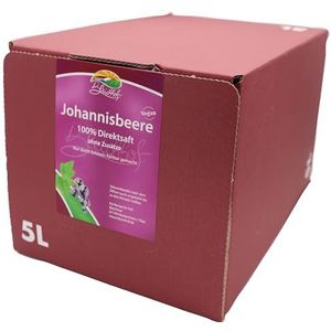 Bleichhof Zwarte bessensap - 100% direct sap, zonder toegevoegde suiker, bag-in-box (1 x 5 l sapdoos)