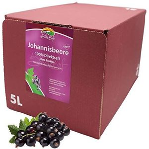 Bleichhof Zwarte bessensap - 100% direct sap, zonder toegevoegde suiker, bag-in-box (1 x 5 l sapdoos)