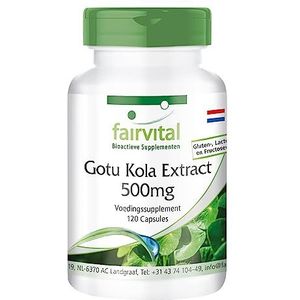 Fairvital | Gotu Kola capsules - 500mg Centella asiatica extract - 1% asiaticosiden - HOOG GEDOSEERD - VEGAN - 120 capsules