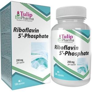 Tulip BioPharma Vitamine B2 (Riboflavine 5'-fosfaat) 250mg 120 Capsules, 3rd Party Lab getest, Hoge Sterkte Supplement, Gluten- en GGO-Vrij