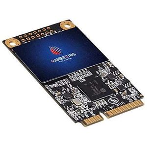 Gamerking mSATA SSD 64 GB 3D NAND SATA III 6 Gb/s, mSATA (30 x 50,9 mm) Interne Solid State Drive - Compatibel met Desktop PC Laptop - (MSATA 64GB)