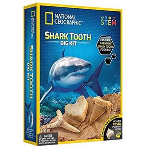 National Geographic RTNGSHARKINT Shark Tooth