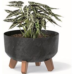 botle Bonsai schaal boom mini tuin bloempot aan de voeten plantenbak D 23,5 cm antraciet kunststof potten met inzetstuk beton look potten