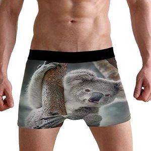 PUXUQU Heren Boxers Shorts Vintage Koala Bear Boxer Slips ondergoed voor mannen jongen - multi - L