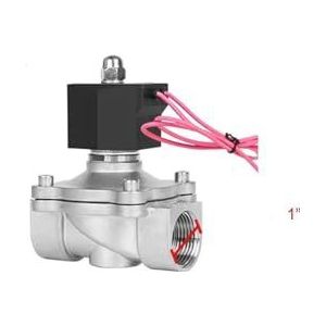 1 ""Roestvrij staal Waterdichte Solenoïdeklep Normaal Gesloten 12 Volt Solenoïde Klep Volledig Ingesloten Rol (BSP_120VAC_NBR-SEAL)