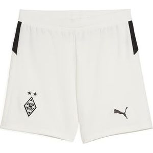 PUMA - Borussia Mönchengladbach 25/26 - Sokken - Zwart/Wit
