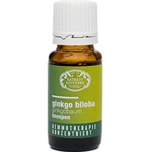 RATHAUS APOTHEKE WIEN geconcentreerd knopextract - Gemmotherapie - Ginkgo biloba - De Ginkgoboom - Hersenen - 15 ml