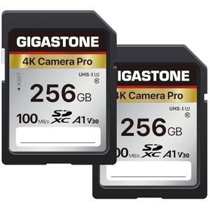 [5 Jaar Gratis Dataherstel] GIGASTONE SD Card 256GB 2-Pack SDXC Camera Pro met 2x Mini-case, Geheugenkaart voor Canon Nikon Sony Camcorder, 100MB/s UHS-I A1 V30 U3 C10 Class 10