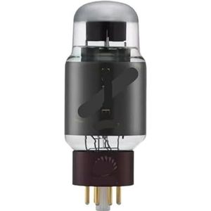 6CA7 6SN7 274B KT88 300B KT66 6SL7 2A3 KT150 845 Vacuümslang (ART 6CA7)