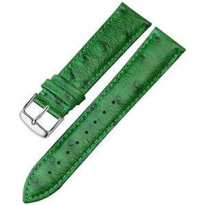 LUGEMA Struisvogelpatroon lederen riem 12 13 14 15 16 17 18 19 20 21 22 24 mm roodgroene armband compatibel met tissot Dw Mido CK Watch Chain(Blue Pink,21mm)