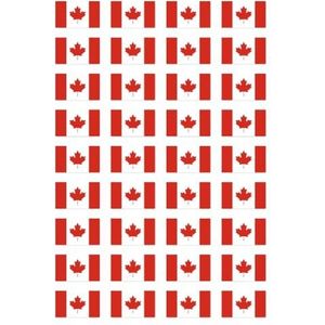 vlag Canada (90/150) - De Decorkliniek
