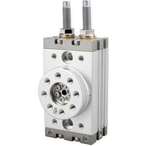 MSQB-10/20/30/50/70/100/200A roterende tafelkrik bout pneumatische aanpassing (MSQB-100A)