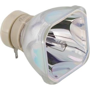 Vervangende projector met behuizing for CP-RX80W CP-RX78 ED-X24 CP-RX78W CP-RX80 ED-X24Z DT01022(DT01022 CB)