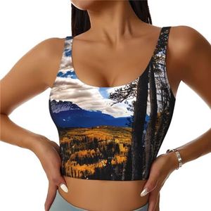 Rocky Mountain Range Print Yoga BH's, High Impact Support, Longline Design, voor Fitness, Hardlopen en meer, Zwart, S