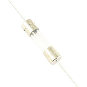 100 stuks glaszekering 5 x 20 mm snelschot axiale buis met 2 pins 250 V F 1A 2A 3A 3,15A 4A 5A 6,3A 8A 10A (maat: 1A)