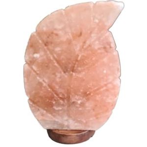 Geese Design-Trends Himalaya zoutlamp zoutkristal van Punjab Pakistan 3,5 kg in de vorm van een blad sfeerlicht met 15 watt lamp E14 fitting netsnoer met tuimelschakelaar