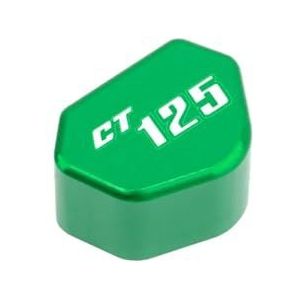 Compatibel met CT125 CT125 CT 125 2020-2024 7 kleuren Motorfietsaccessoires Schakelknop Richtingaanwijzerschakelaar Toetsenbord(Green)