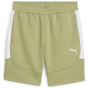 teamEVOSTRIPE Shorts