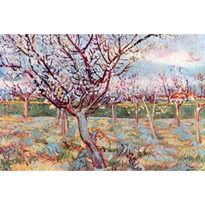 1art1 Vincent Van Gogh Poster Kunstdruk Op Canvas Blossoming Trees, 1888 Muurschildering Print XXL Op Brancard | Afbeelding Affiche 120x80 cm
