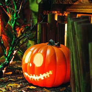 Somerway Halloween Pumpkin Lights LED Pompoenlichten Batterij Bediende lichten Fall Pumpkin Lamp Mini Pompoen Lantaarns voor Halloween Party Decorations EEN